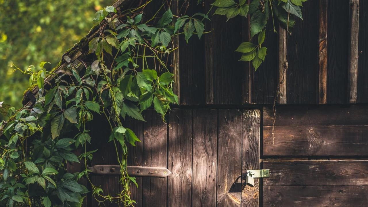Apartamenty Everysky Janice Grudza Exteriör bild